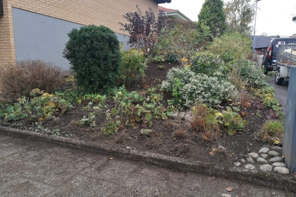 Skötsel av villaträdgård i Varberg